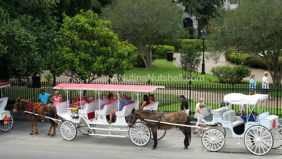 Jackson Square carriage rides