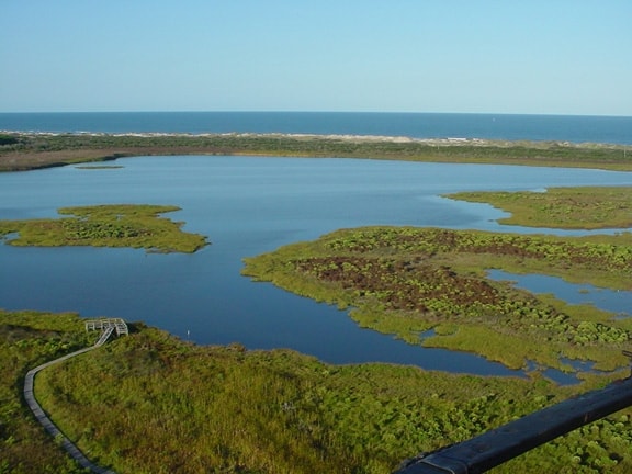 view of marshes from Bodie Island lighthouse