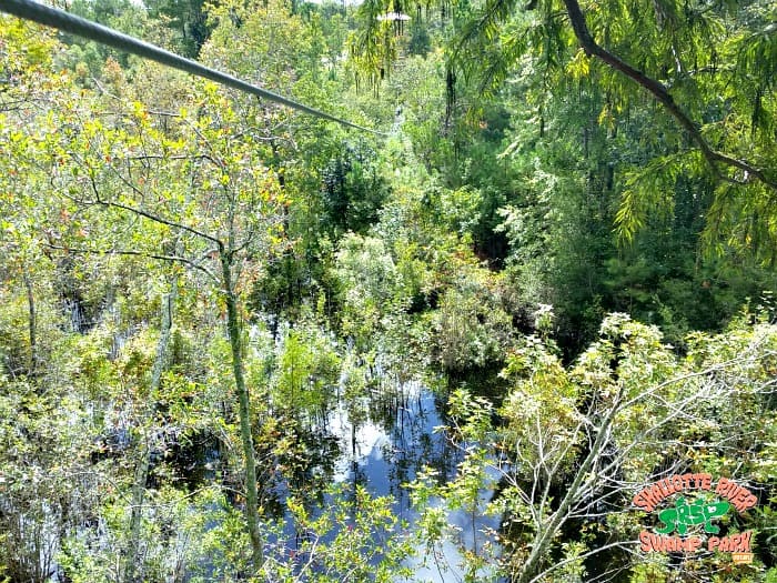 nature - Shallotte River Swamp Park zipline canopy tour