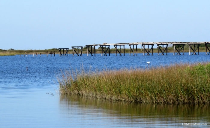 Pea Island National Wildlife Refuge NC