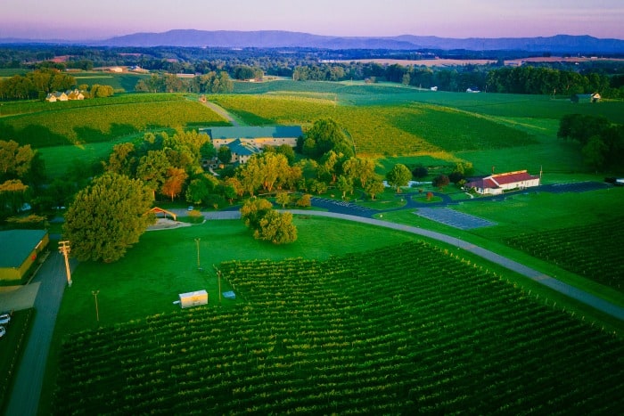 aerial view of vineyards