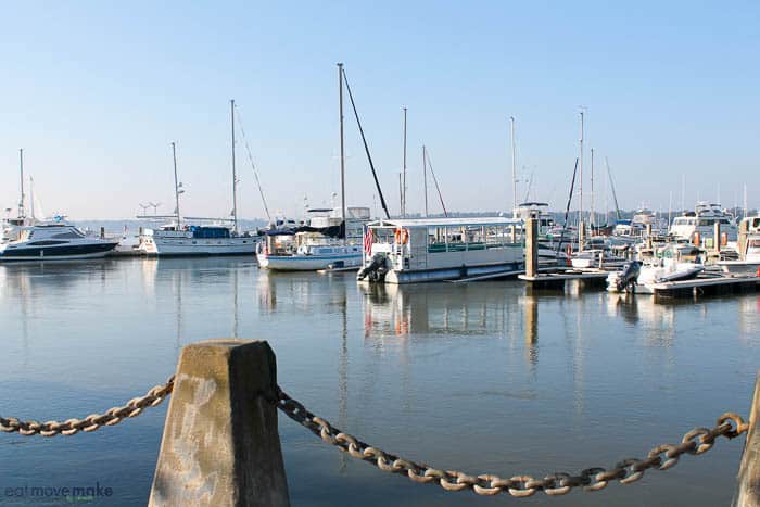 boats in harbor