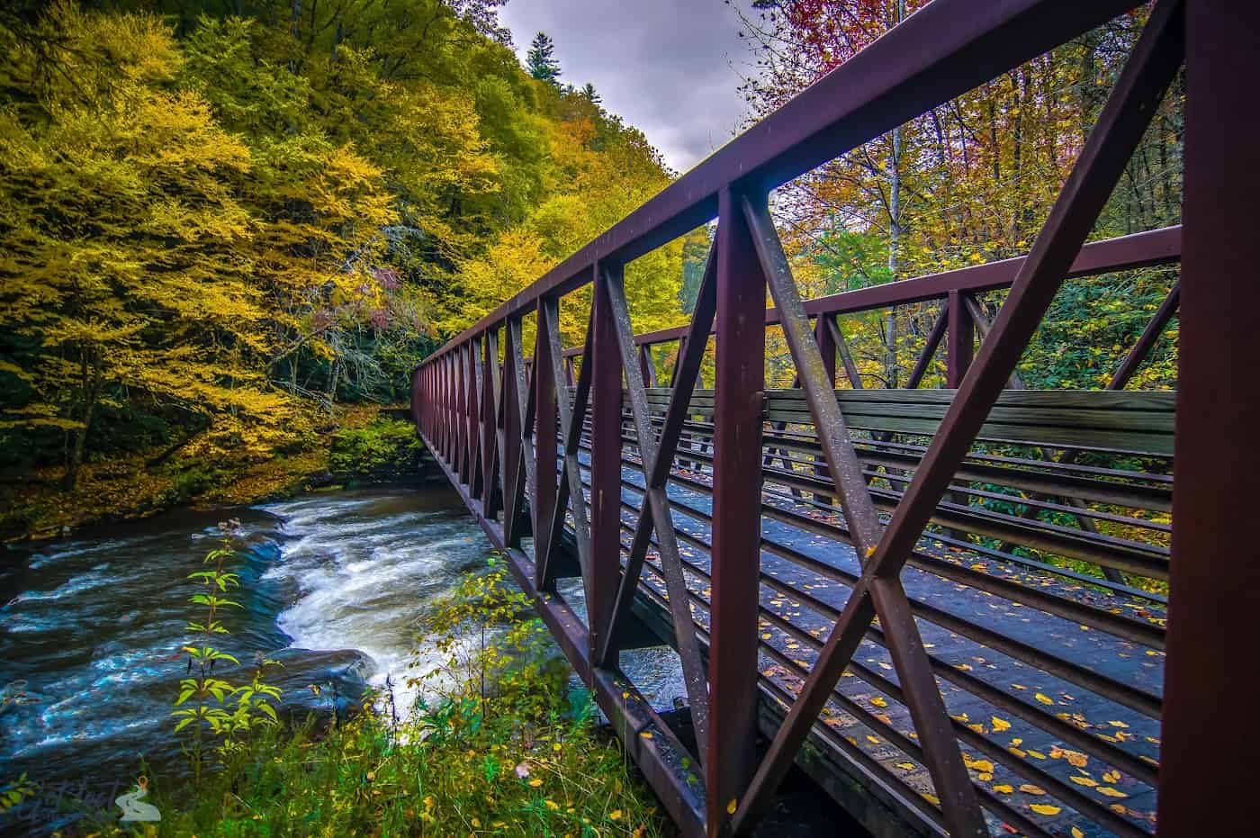 Virginia Creeper Trail scenic view