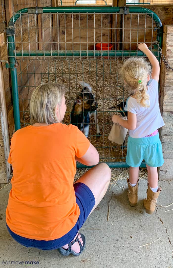 A little girl standing next to a fence and a goat