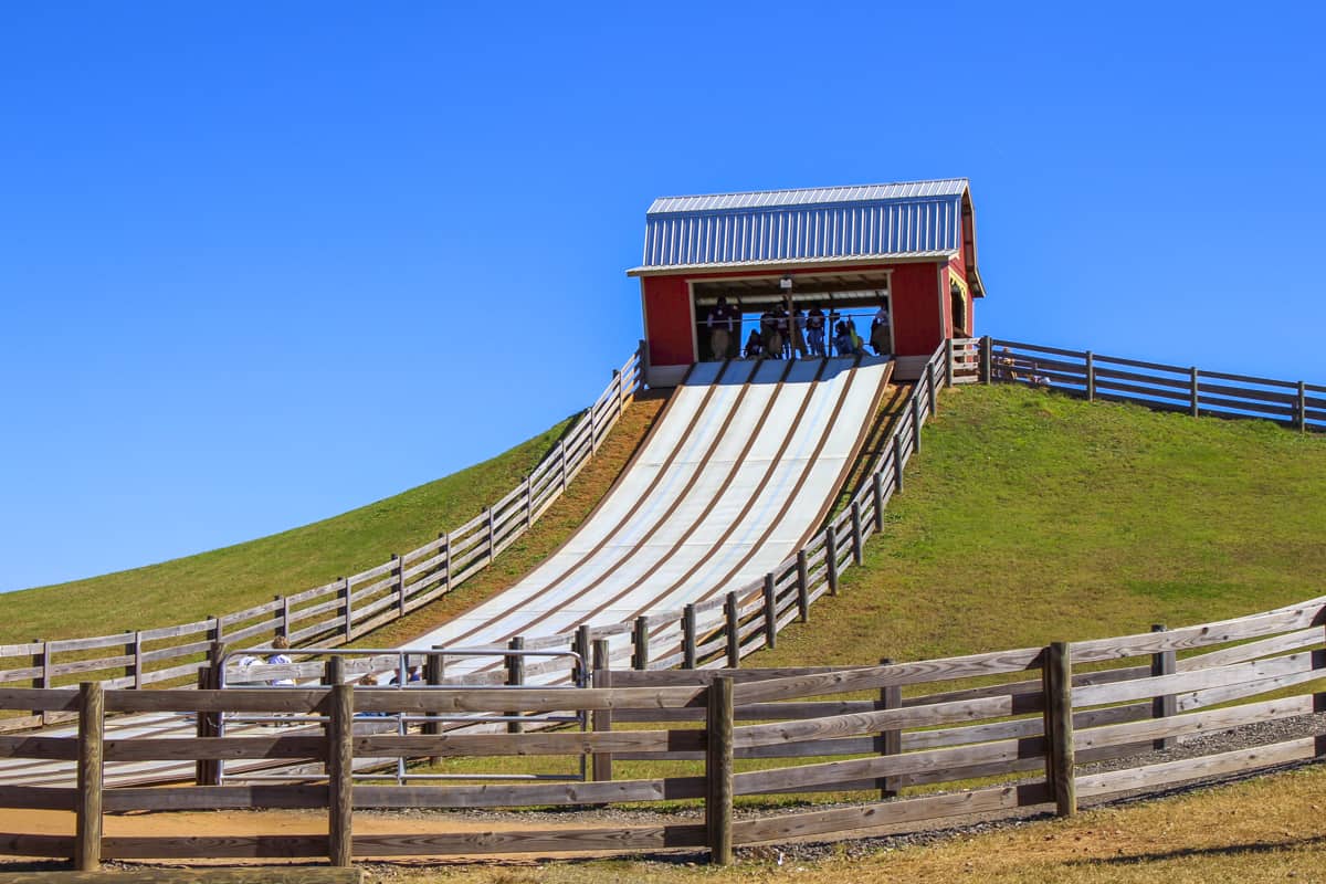 Barnstormer slide