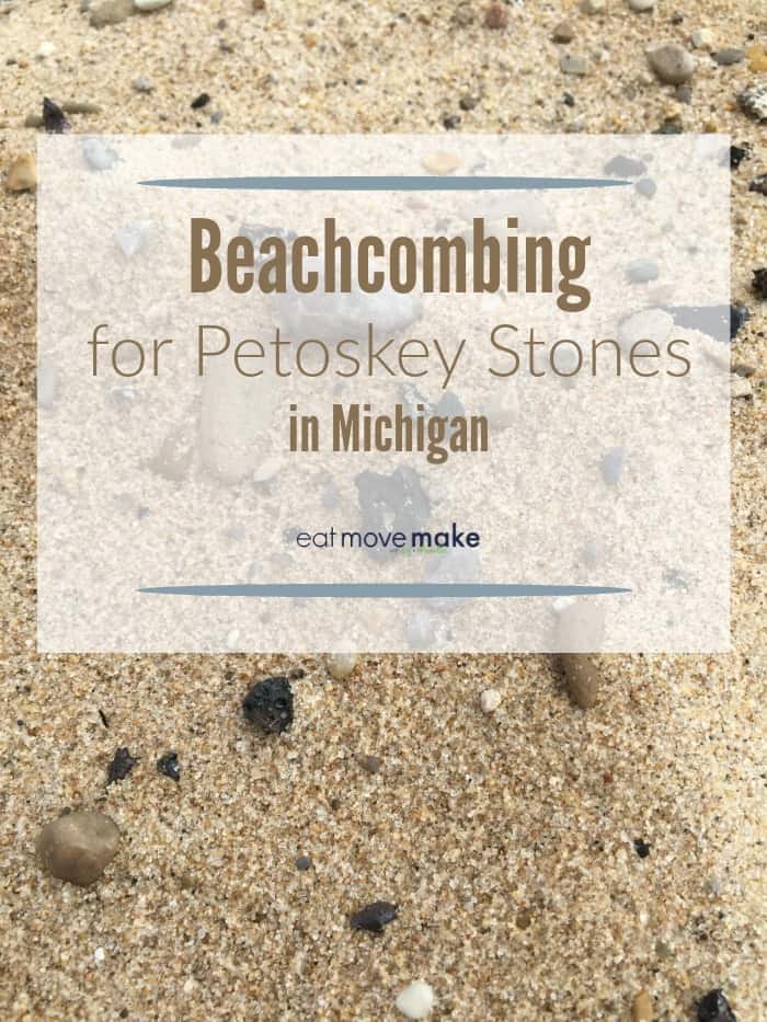 Beachcombing for Petoskey Stones in Michigan