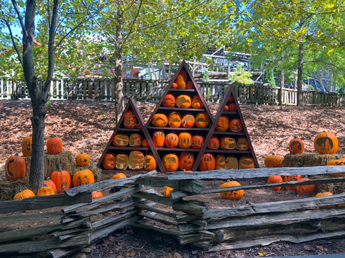 pumpkin display