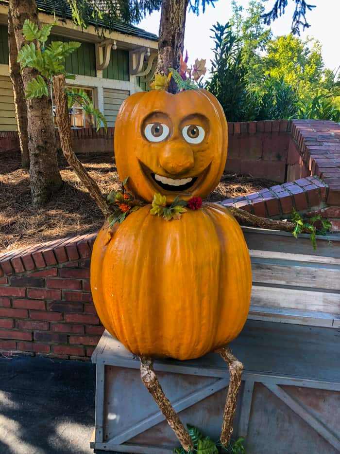 pumpkin display