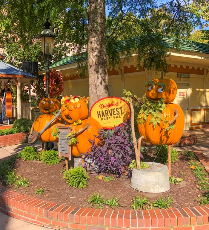 pumpkin display