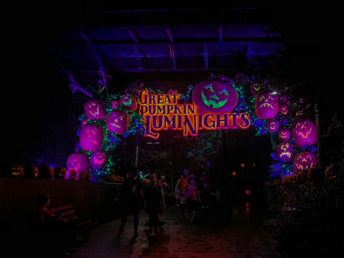 Great Pumpkin LumiNights lit up at night