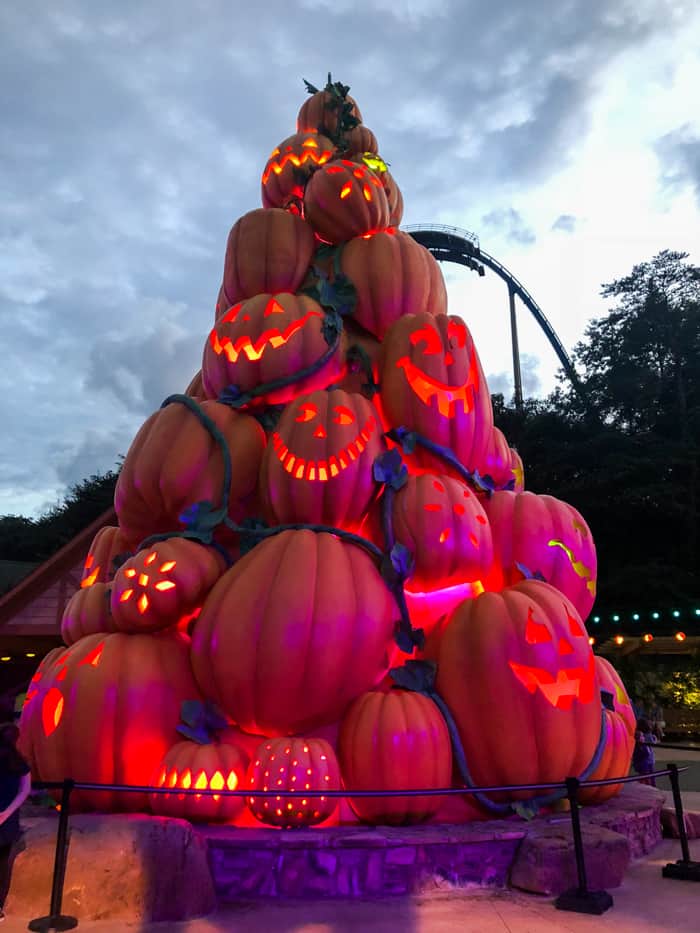 pumpkin display