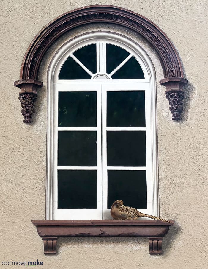 A pheasant sitting in front of a window mural