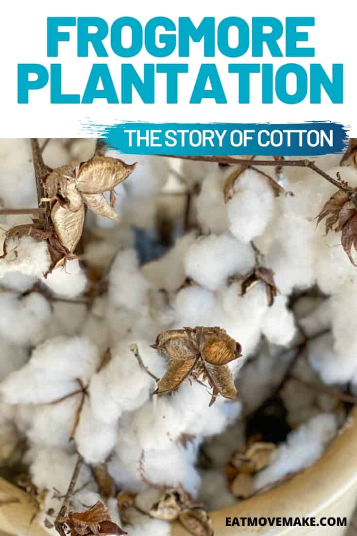 Frogmore Plantation - the Story of Cotton