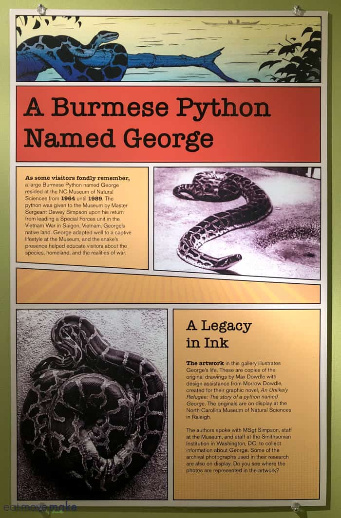 informational plaque about burmese python named George