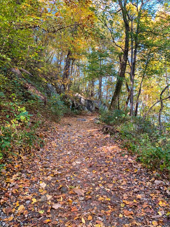 Hickory Nut Trail