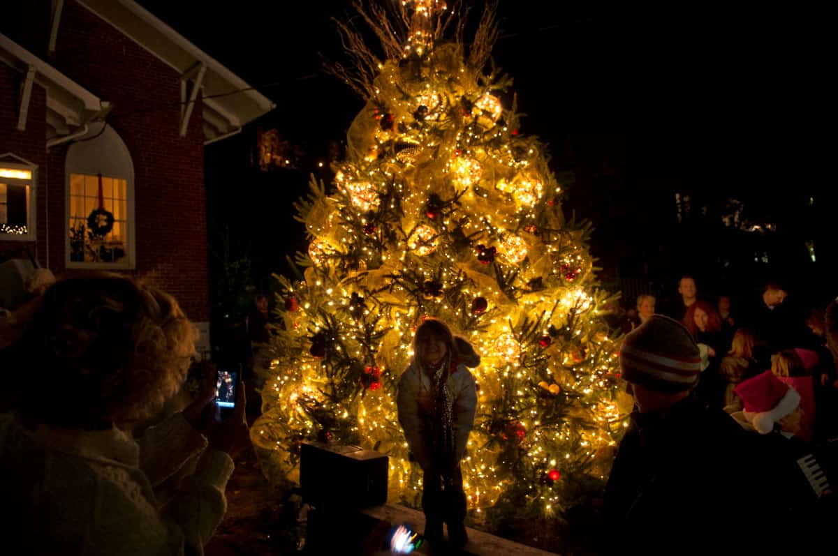 Northern Virginia Holiday Light Shows and Events Get Lost In The USA