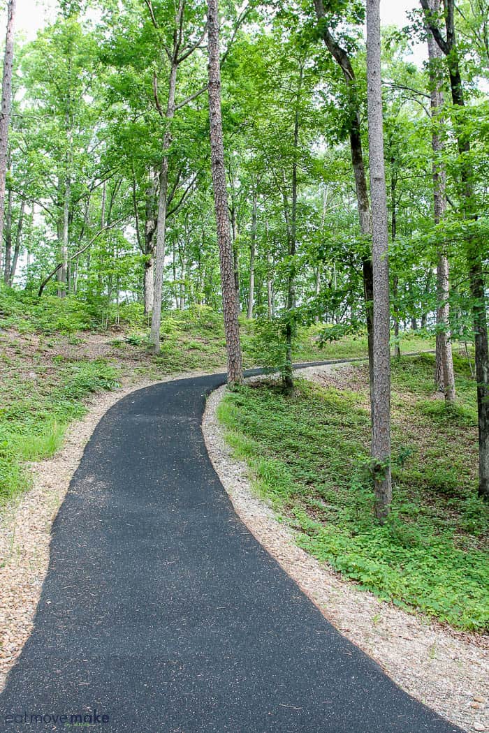 path through trees