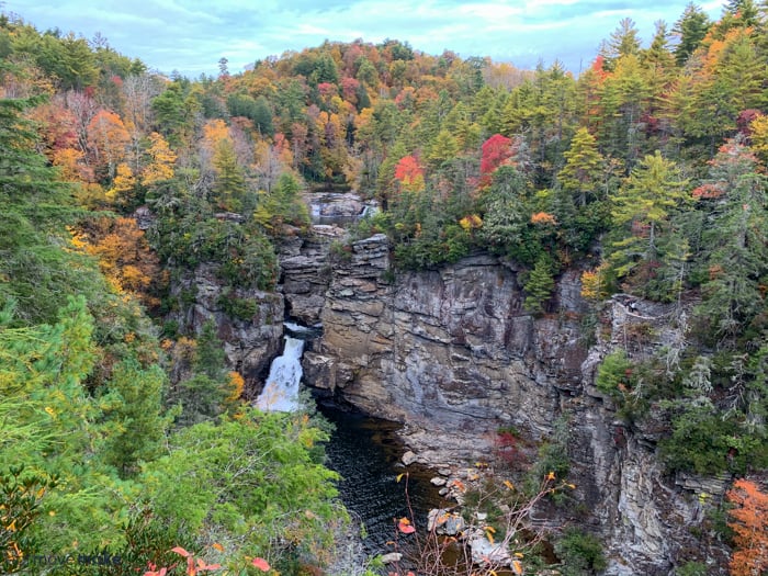 A canyon with a river in a forest