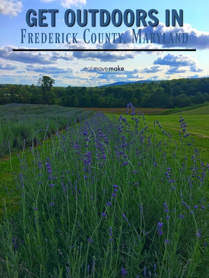 lavender field