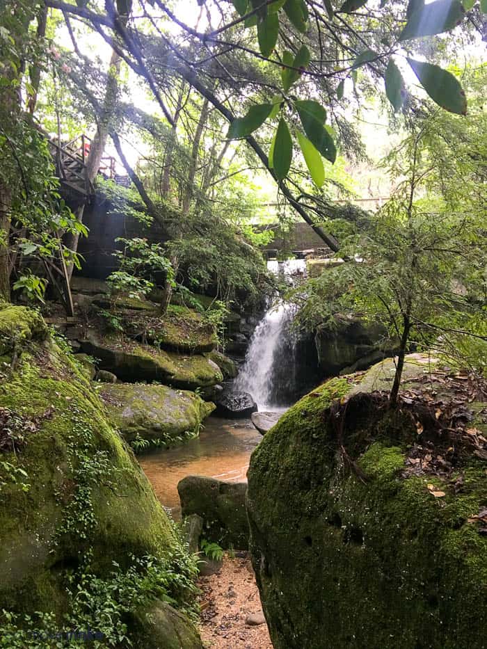 A large waterfall in a forest