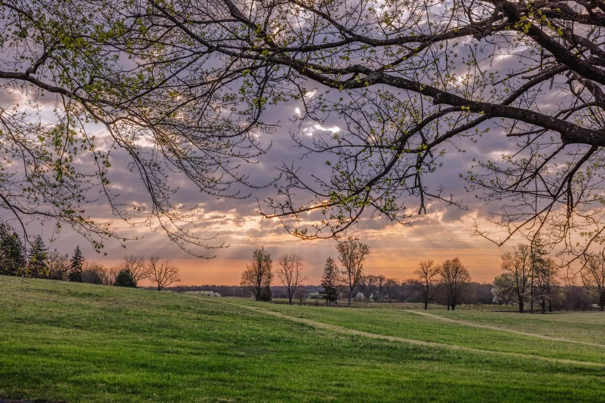 Morven Park grounds