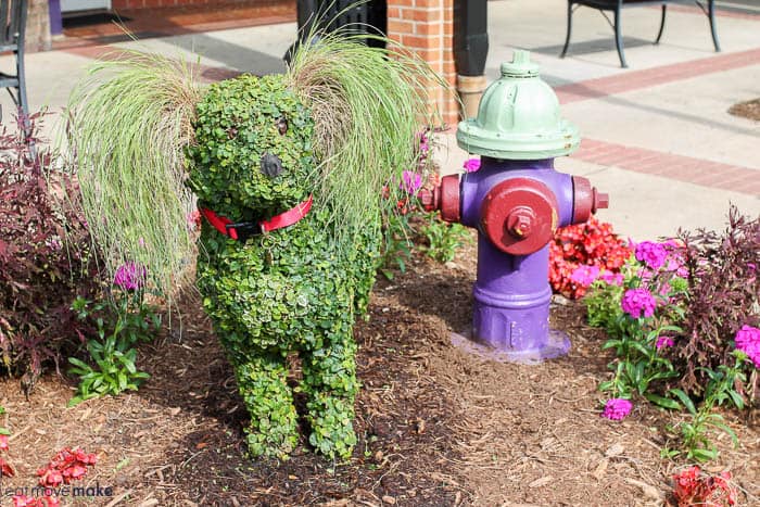 dog topiary