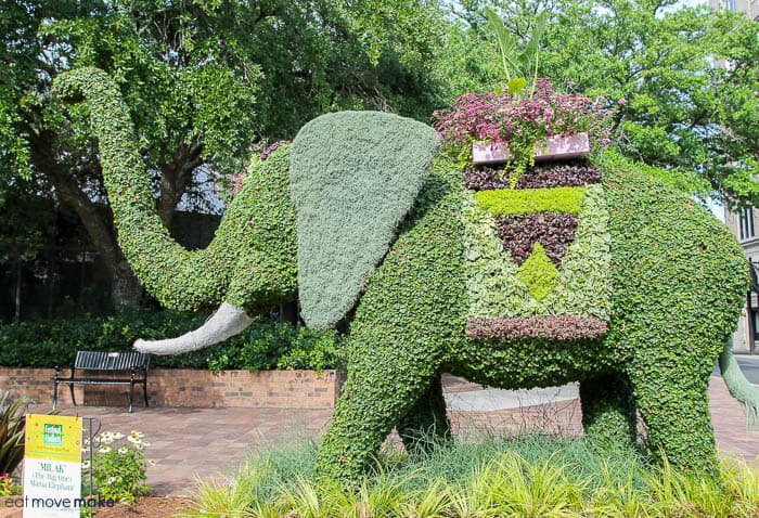 elephant topiary