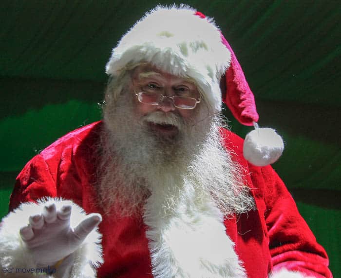 A person wearing a costume, with North Pole Express