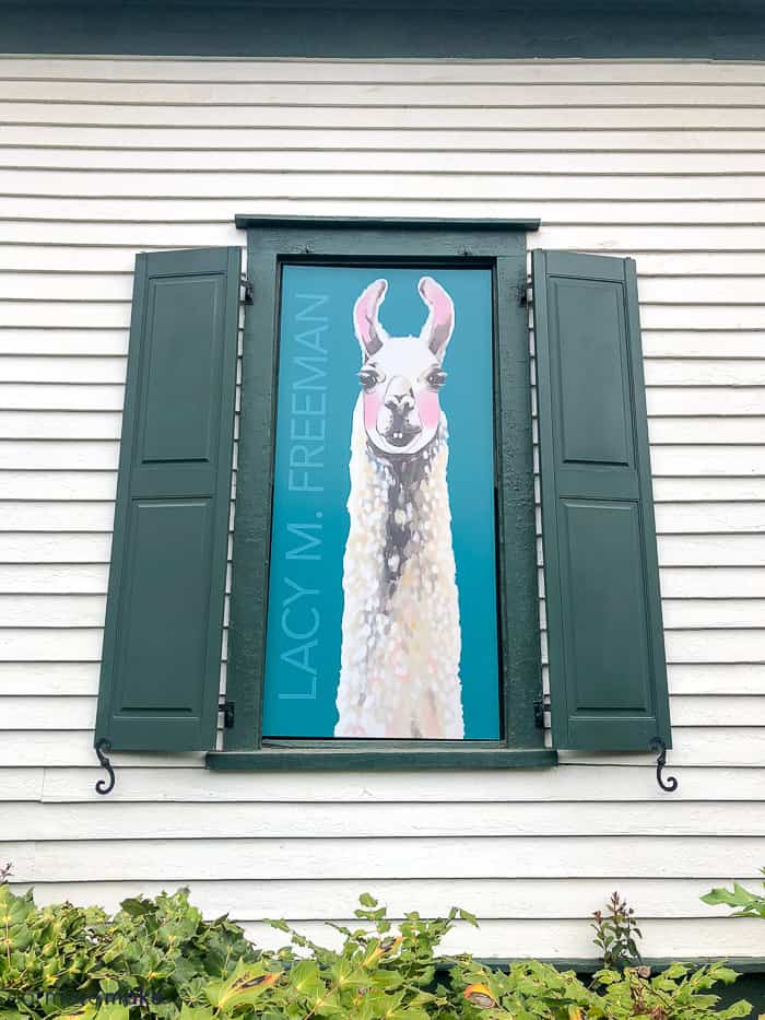 llama art