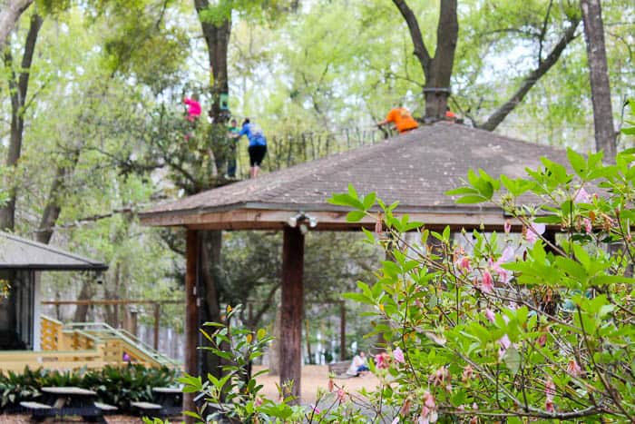 zipline area