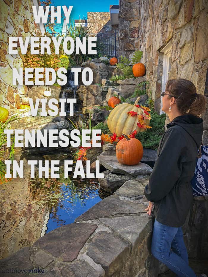 a woman looking at fall foliage in tennessee