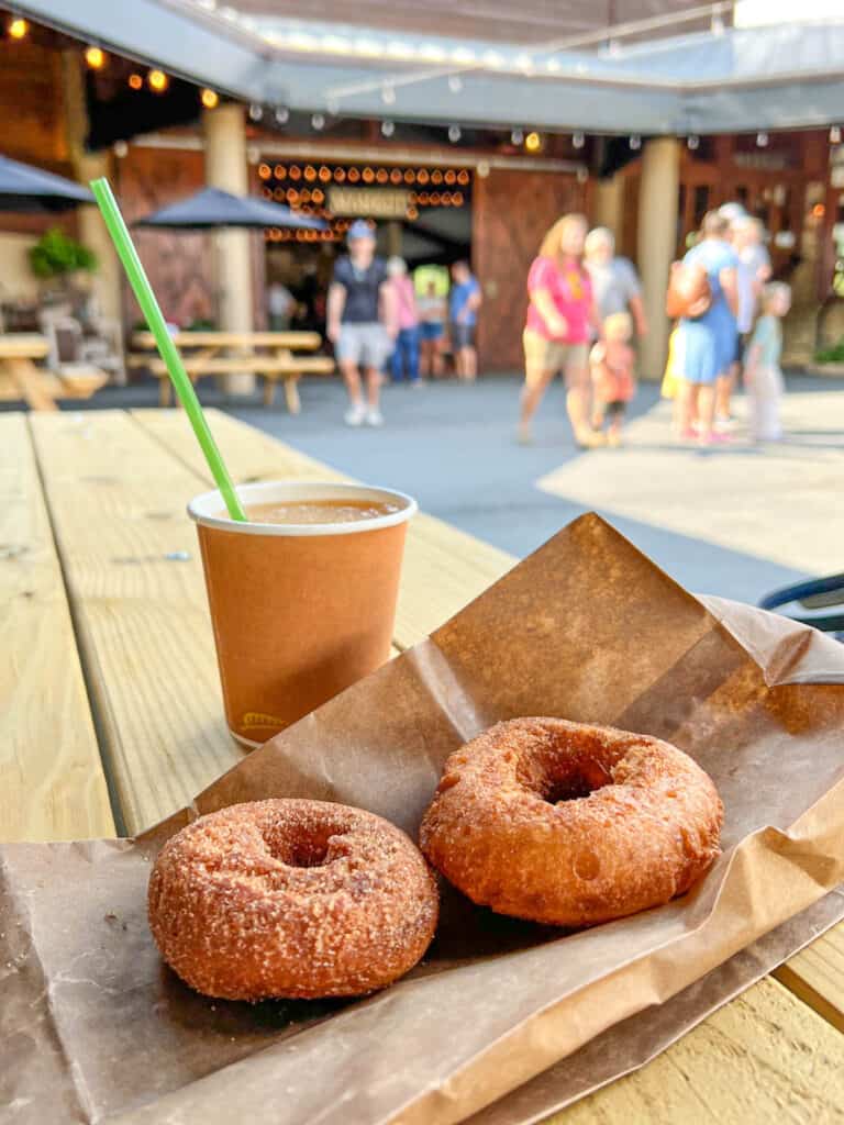 apple cider donuts at Jeter Mountain Farm