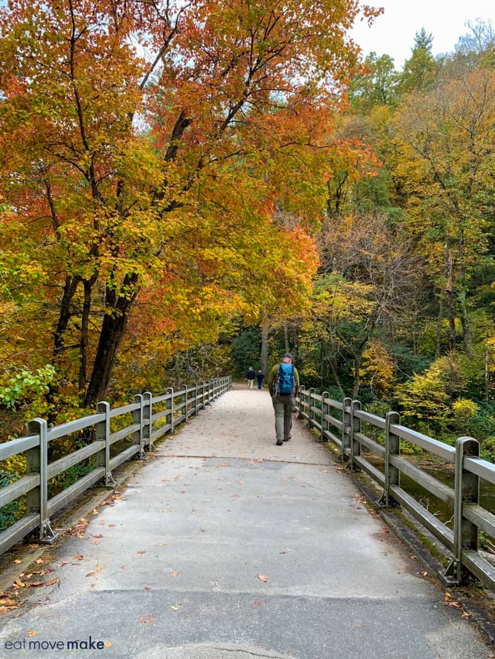 A path with trees and bridge