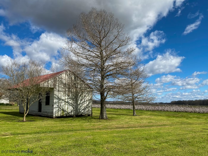 Frogmore antebellum plantation