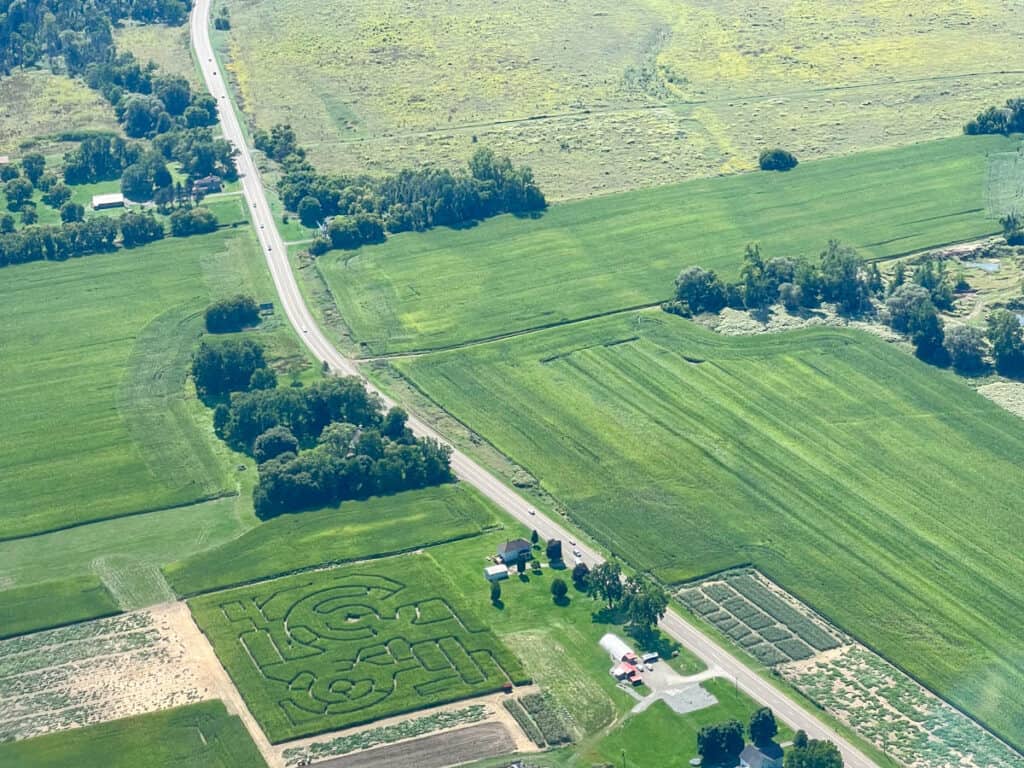 corn maze as seen from glider