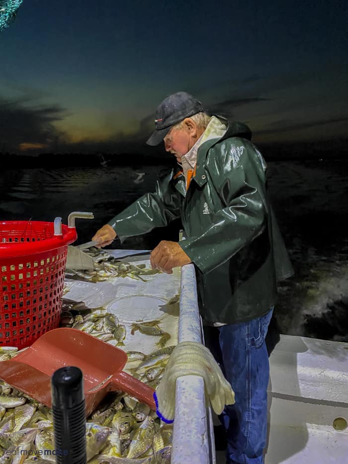 crabber sorting fish and shrimp