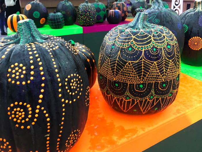 A group of colorful pumpkins