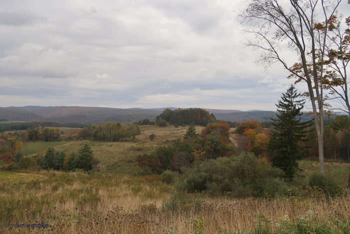 field in fall