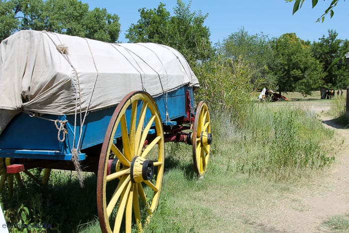 A close up of a horse drawn carriage