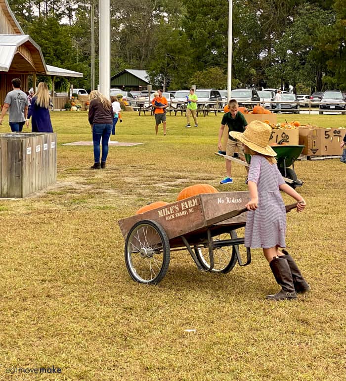 girl pushing wheelbarrow