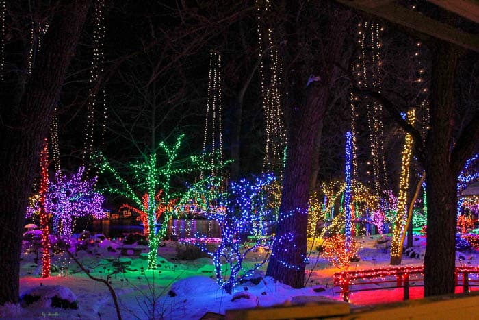Christmas lights at rotary gardens