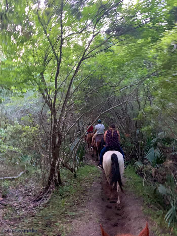 A person riding a horse in a forest