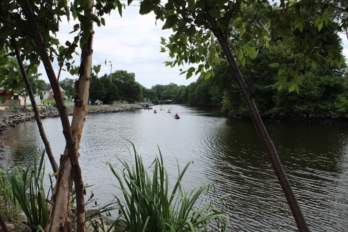 kayaking on Mispillion River