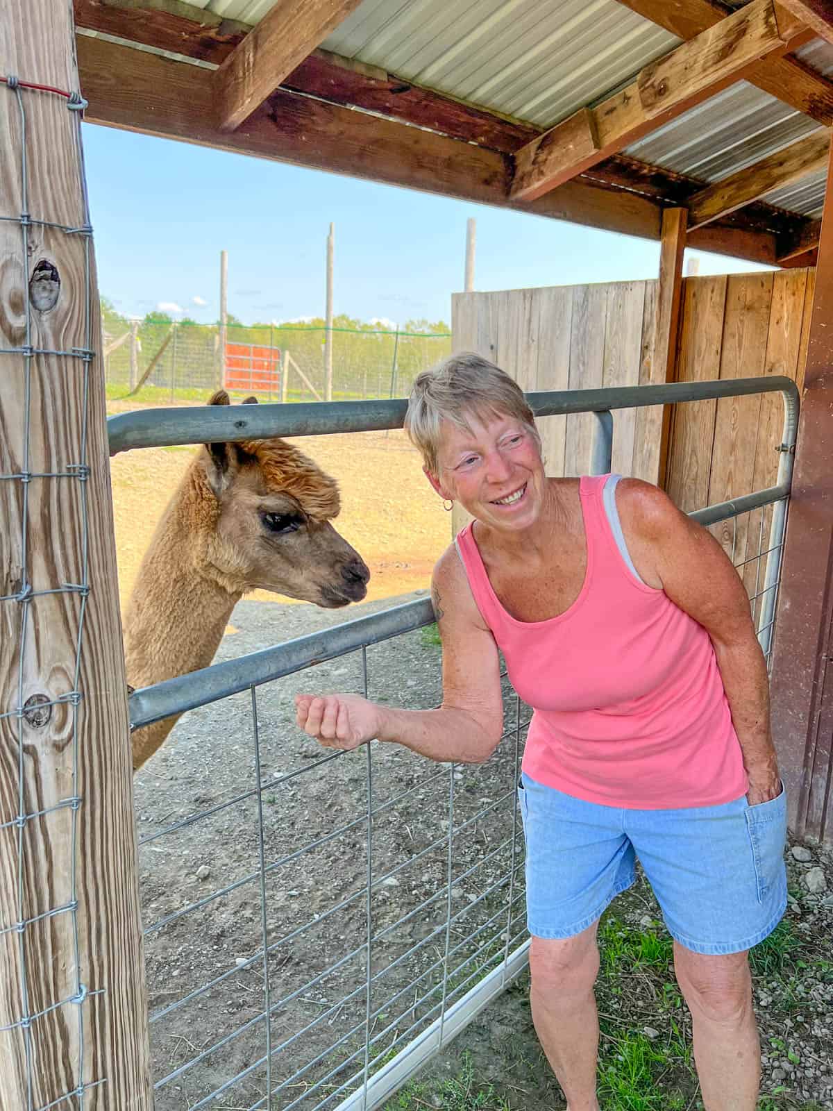 lady with alpaca