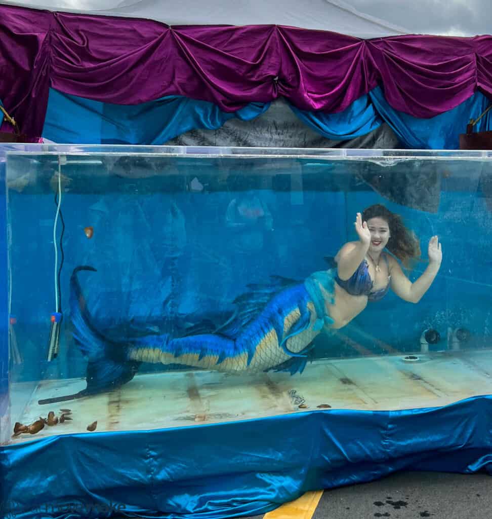 mermaid at PirateFest