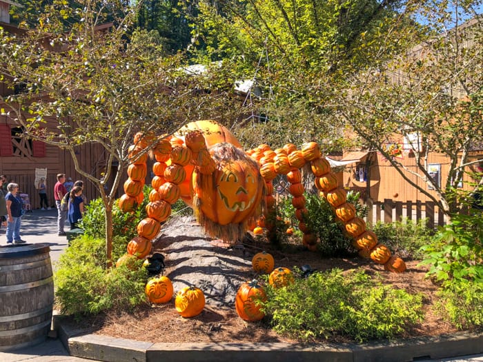 pumpkin display