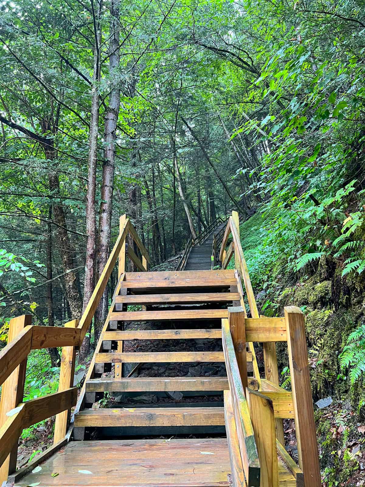 steps to West Rim Trail