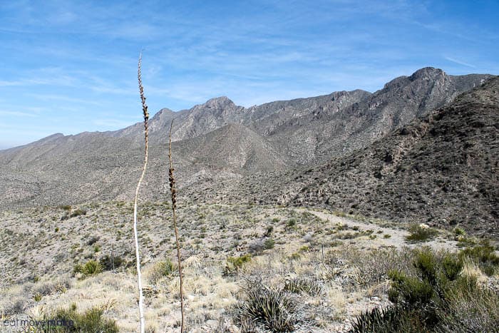 A view of the side of a mountain