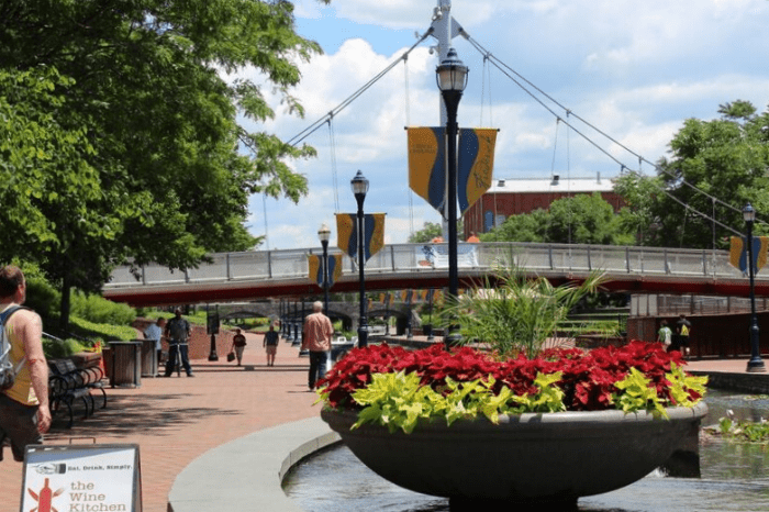 view of flowers at Carroll Creek Park