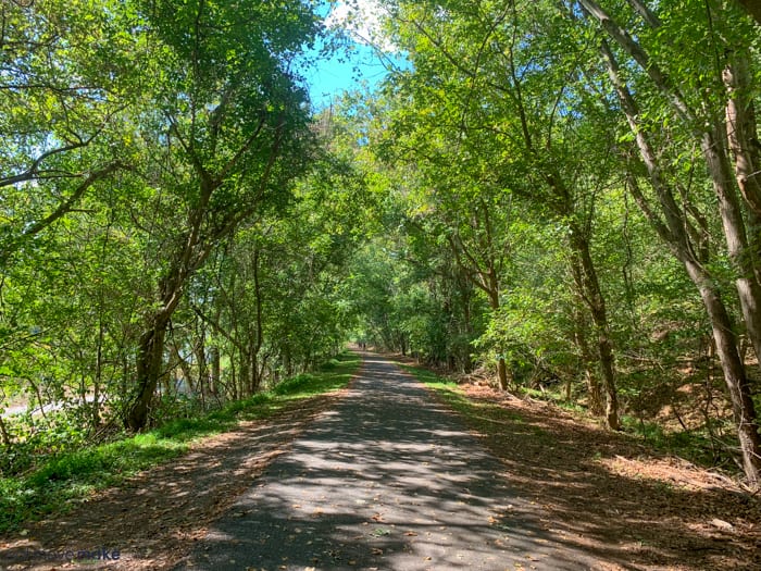 Percival's Island natural area